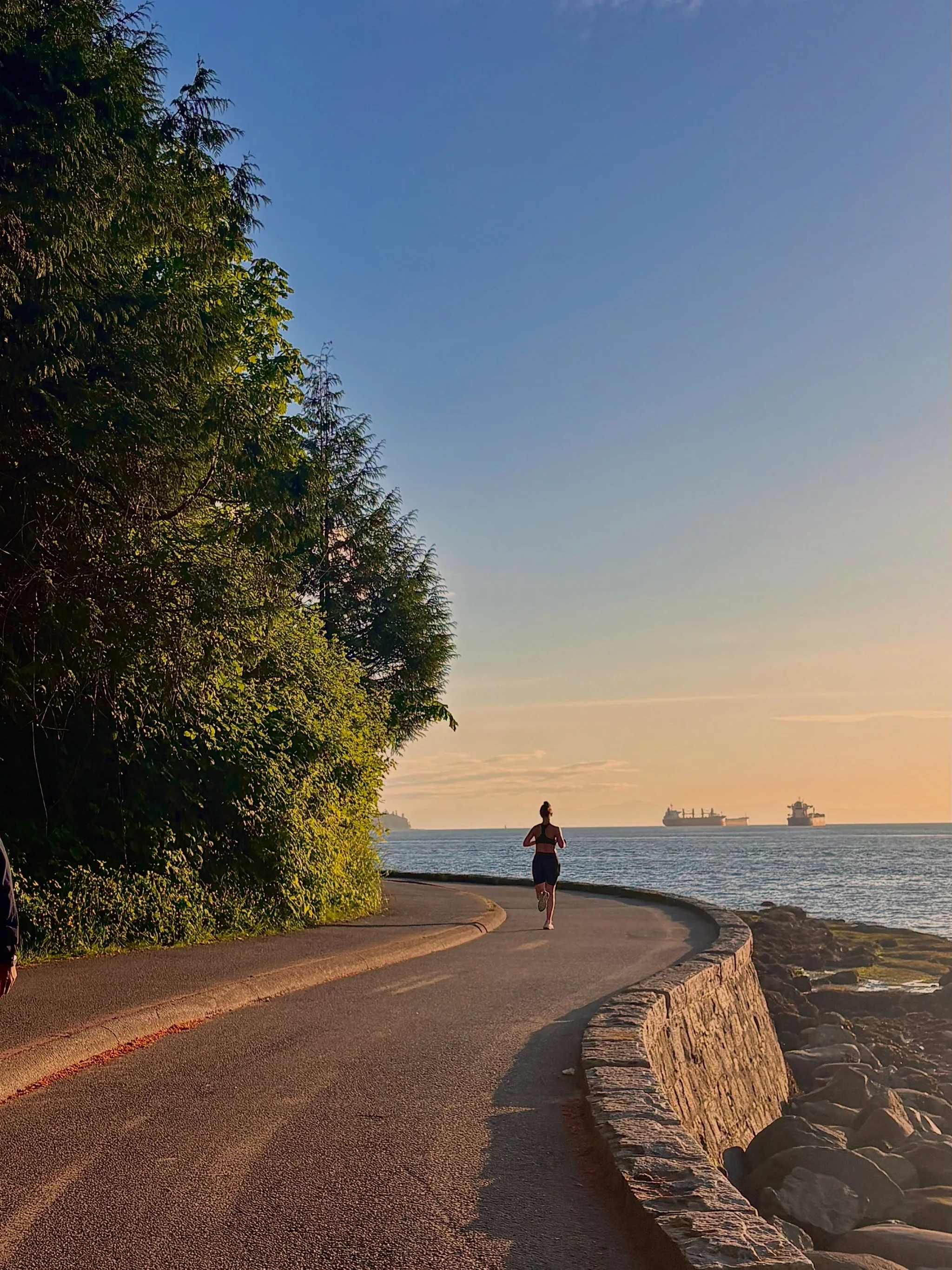 A runner on the curving seawall path at golden hour, tall evergreens on one side and calm sea on the other