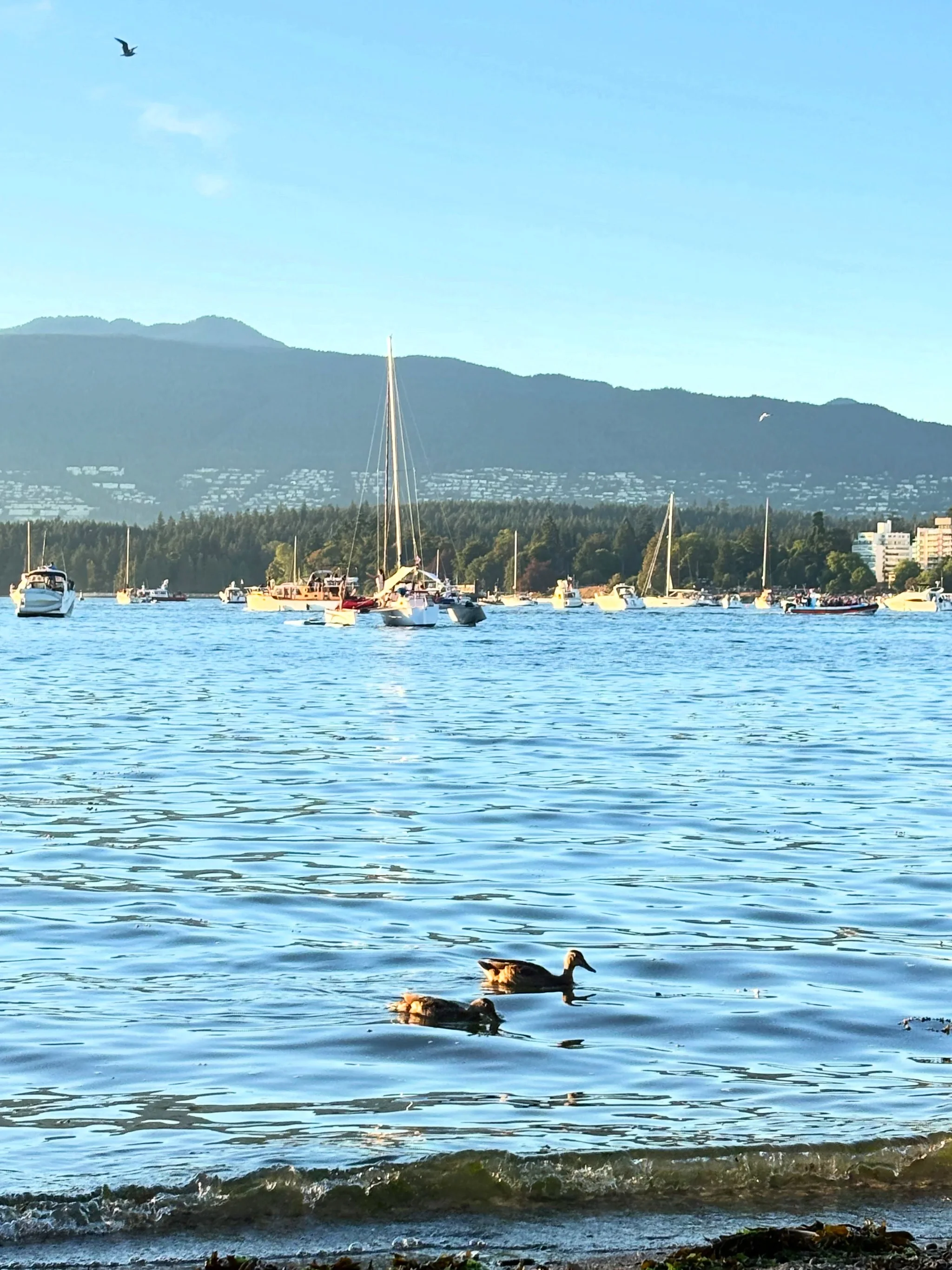 Sailboats and motorboats anchored on calm blue water off a forested shore, with the North Shore mountains behind